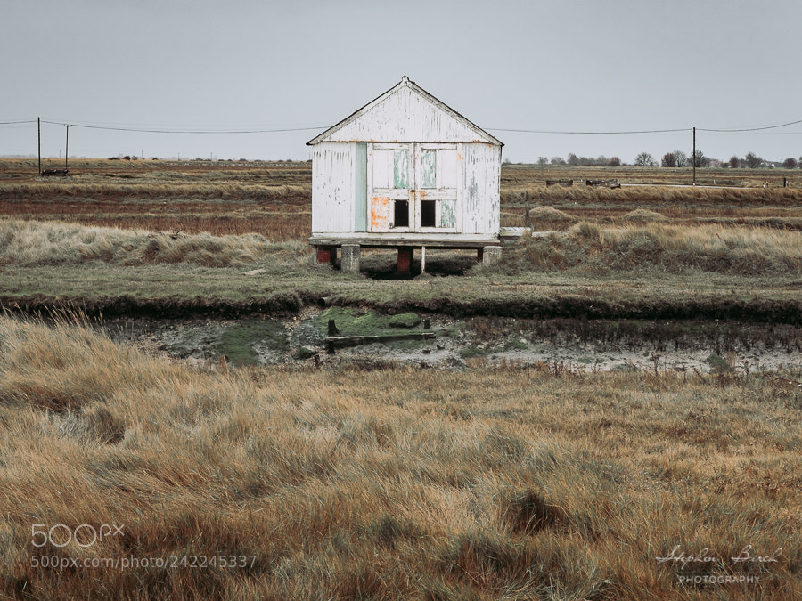 Olympus OM-D E-M1 sample photo. The boat house photography