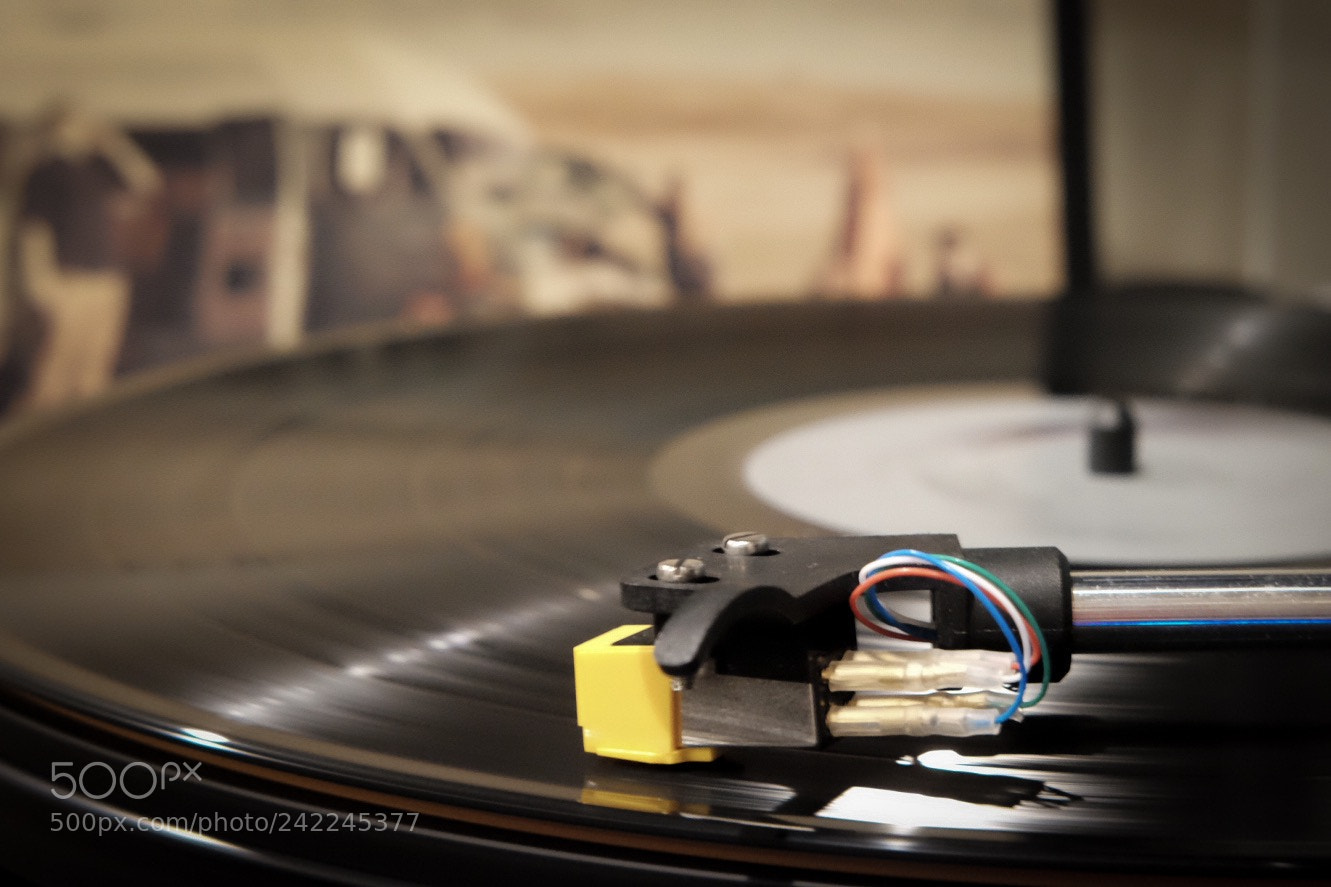 Fujifilm X-T10 sample photo. Runt photography