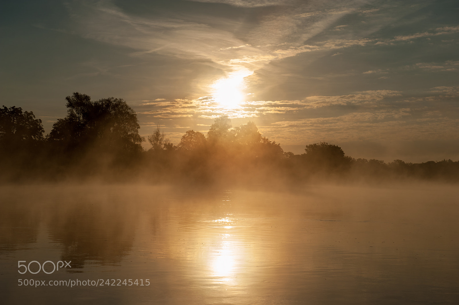 Nikon D700 sample photo. Misty photography
