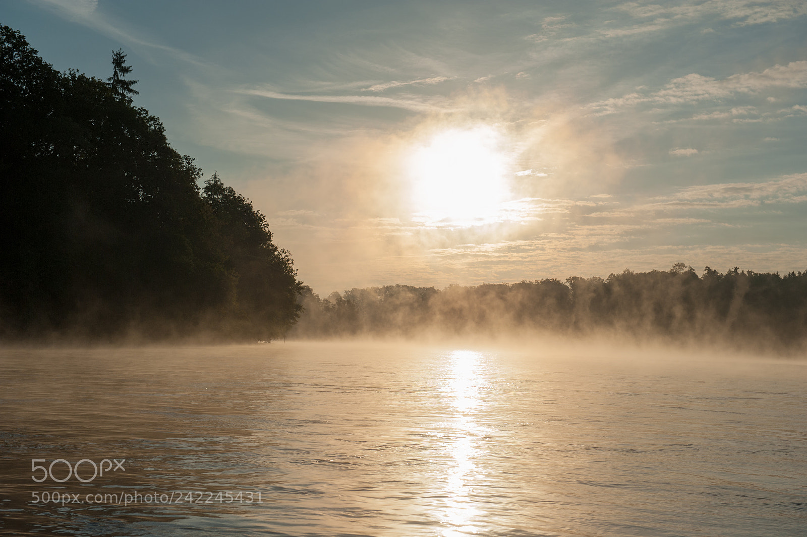 Nikon D700 sample photo. Misty photography
