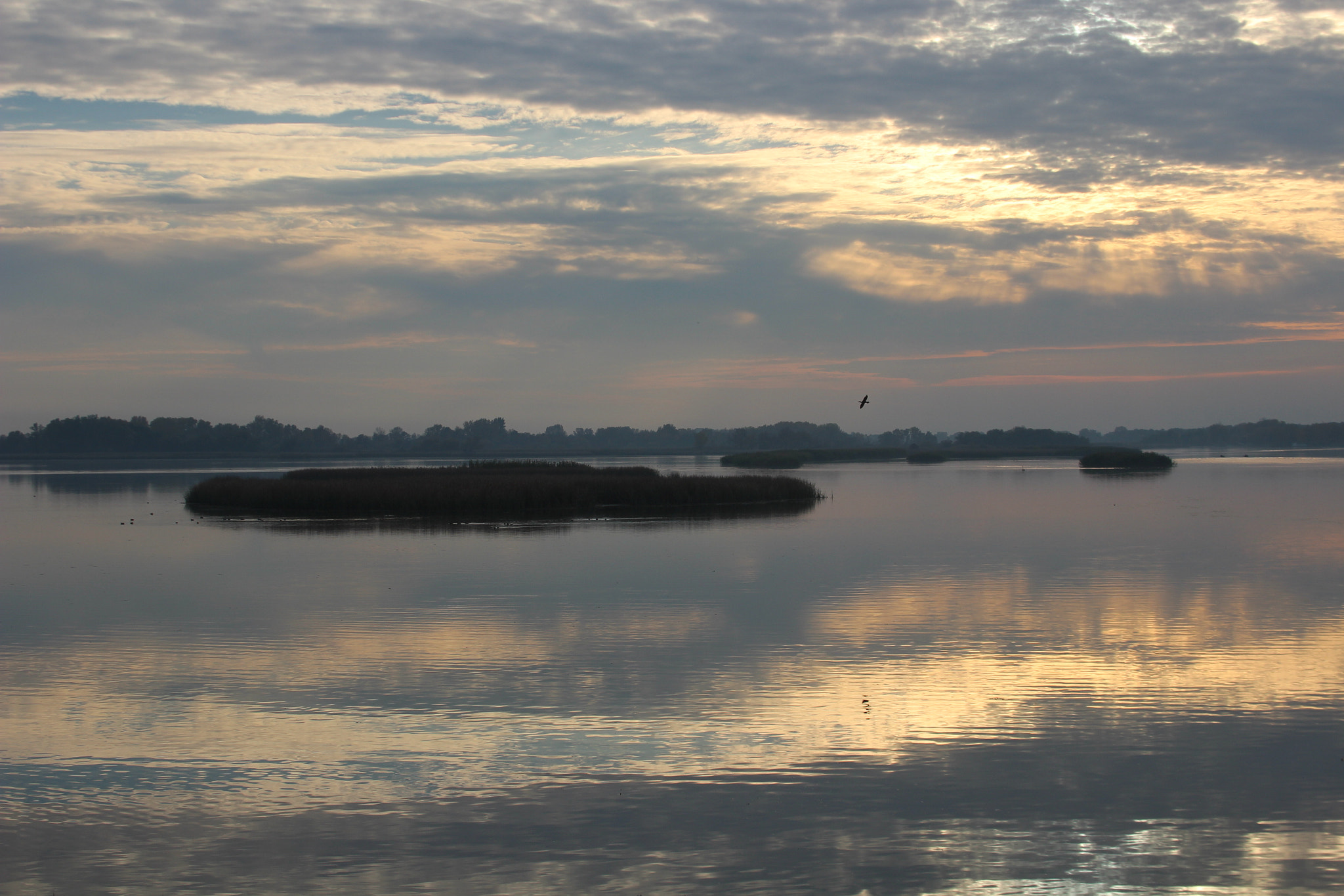 Canon EOS 600D (Rebel EOS T3i / EOS Kiss X5) sample photo. Sunset at lake tisza, hungary photography