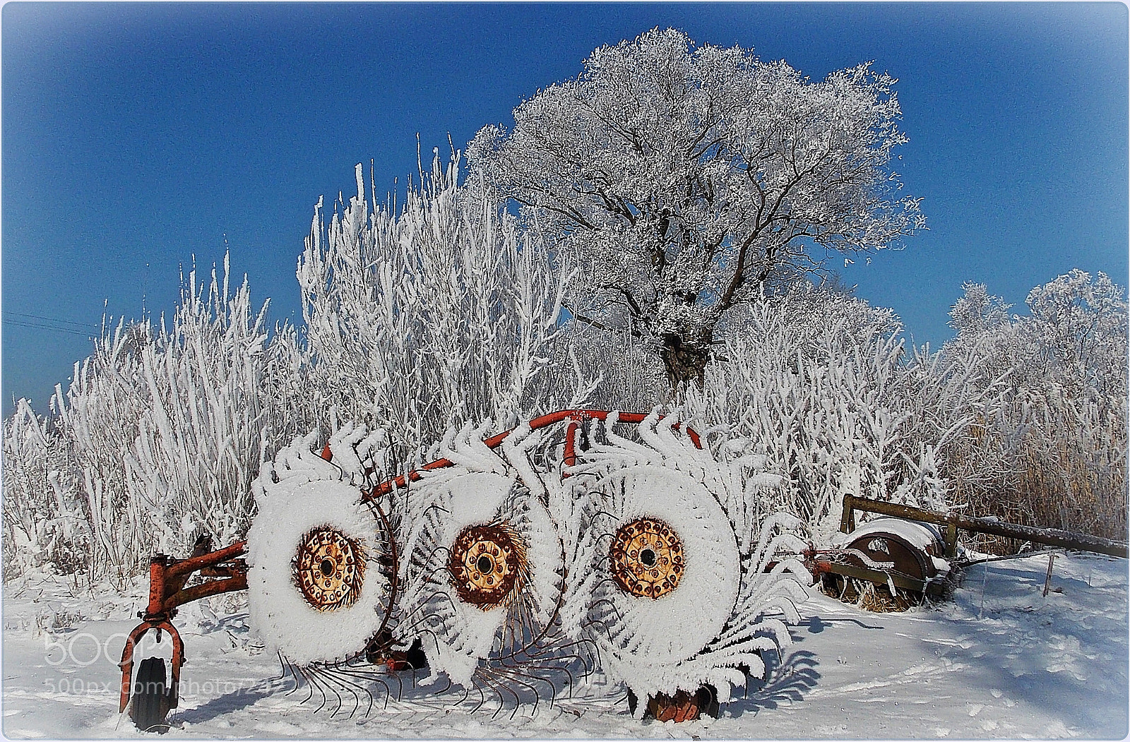 Nikon Coolpix L810 sample photo. Forgotten machinery photography