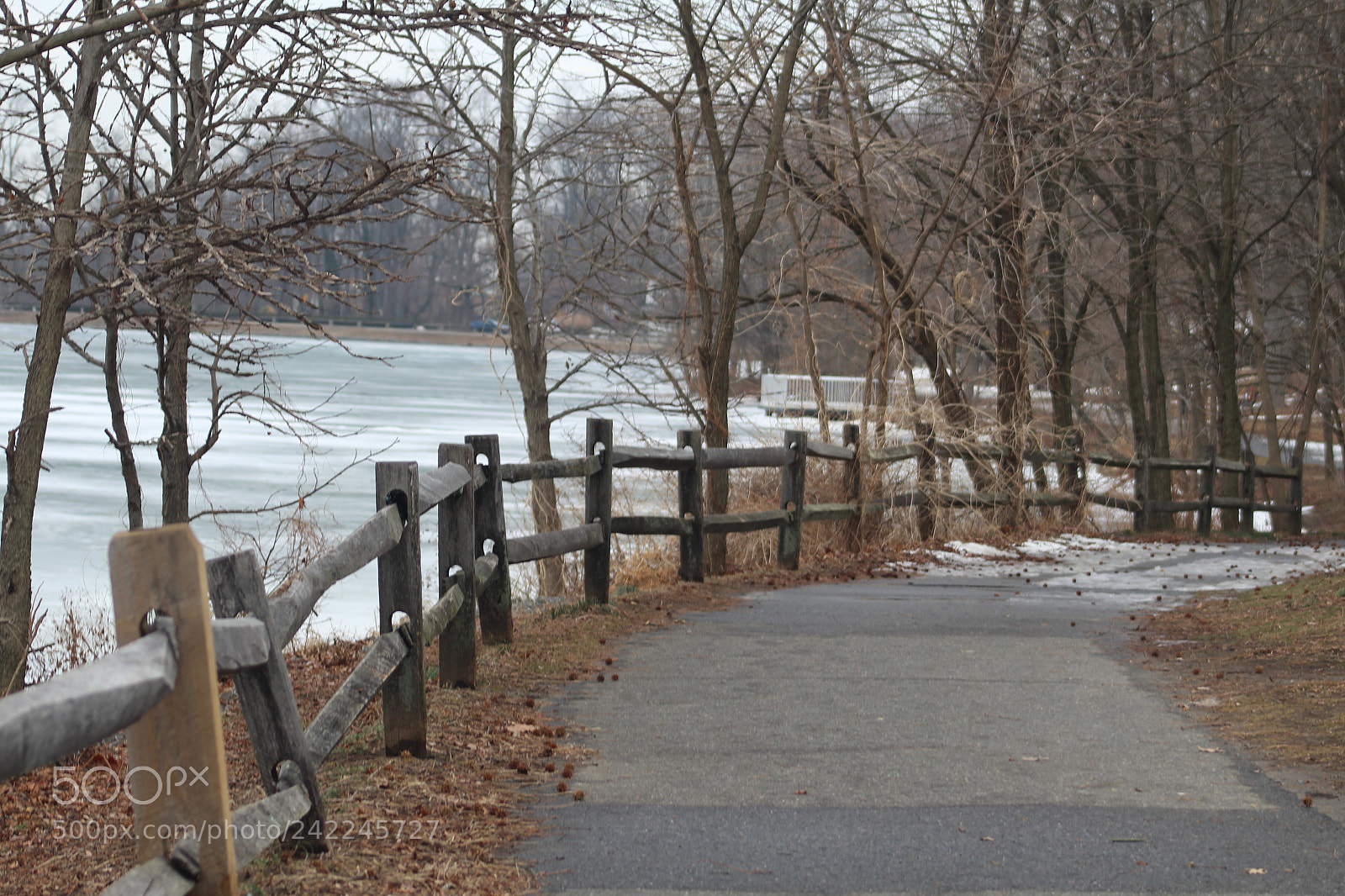 Canon EOS 1300D (EOS Rebel T6 / EOS Kiss X80) + EF75-300mm f/4-5.6 sample photo. A winter pass on photography