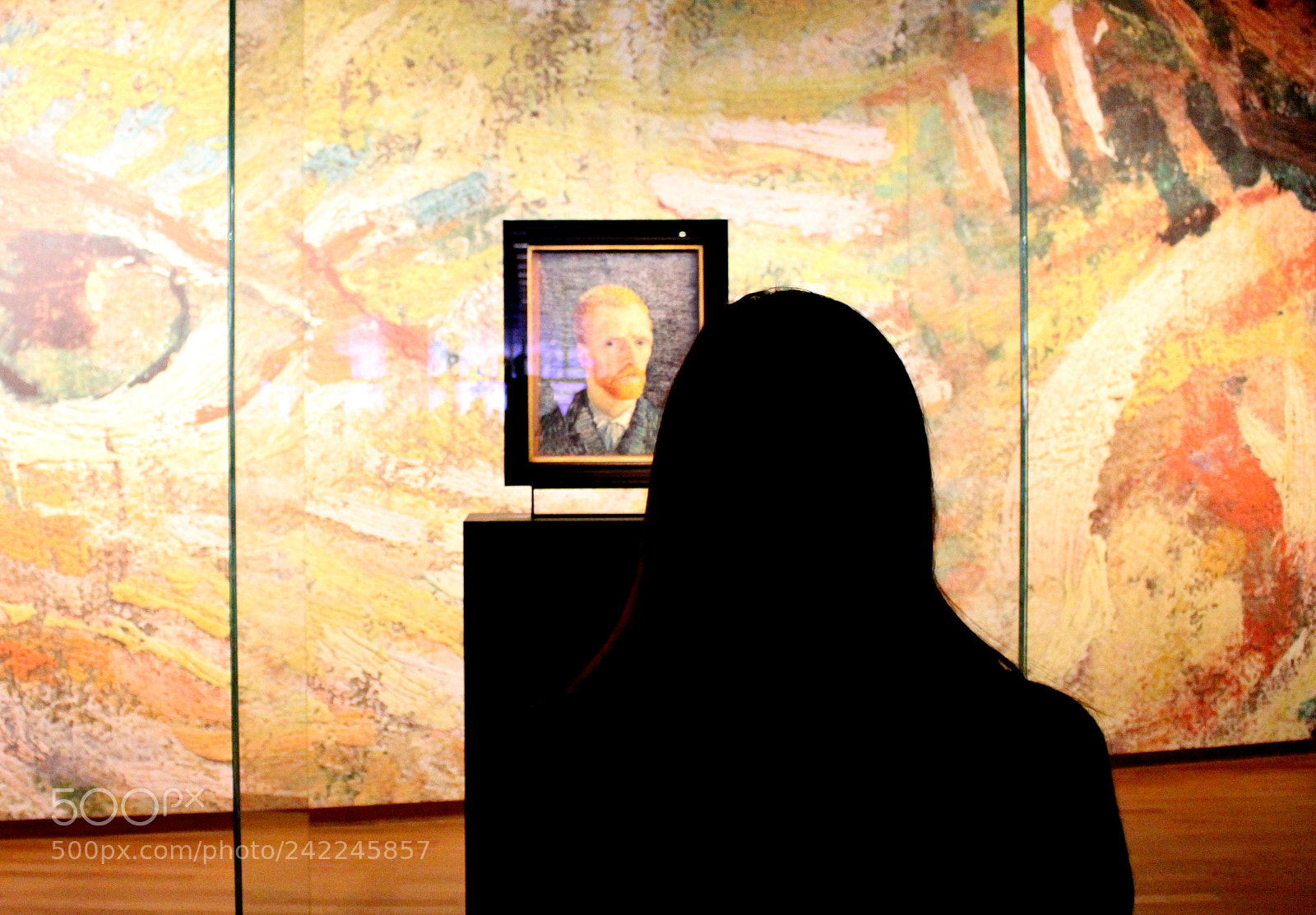 Canon EOS 100D (EOS Rebel SL1 / EOS Kiss X7) sample photo. Van gogh immersion photography