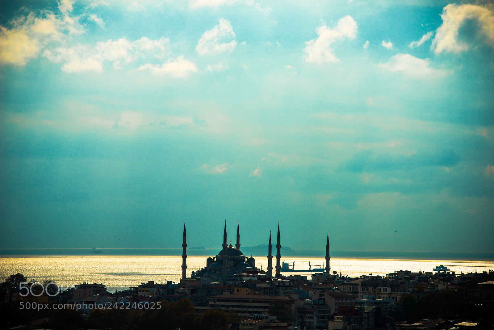 Nikon D800 sample photo. Golden bosphorus photography