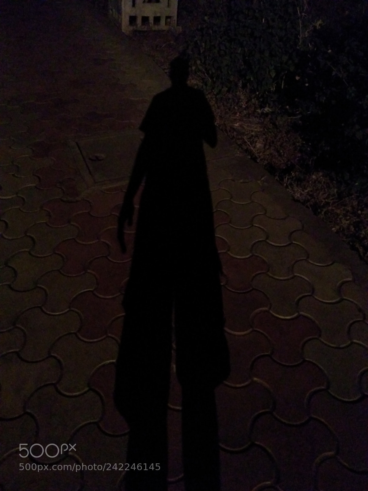Motorola Moto G Play sample photo. Untitled photography