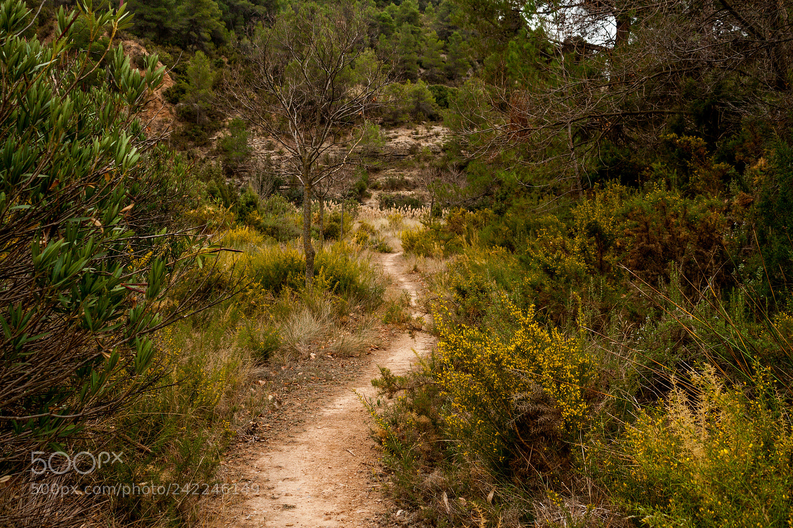 Canon EOS 500D (EOS Rebel T1i / EOS Kiss X3) sample photo. Spanish countryside photography