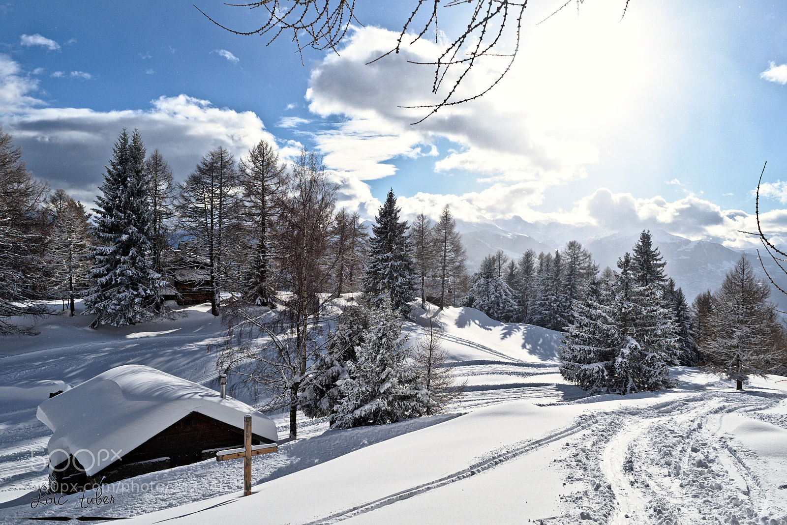 Nikon D5500 sample photo. Balade hivernale à anzère photography