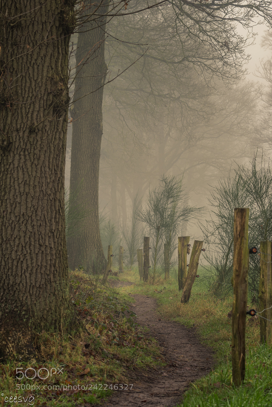 Canon EOS 7D Mark II sample photo. Pad in het paradijs photography
