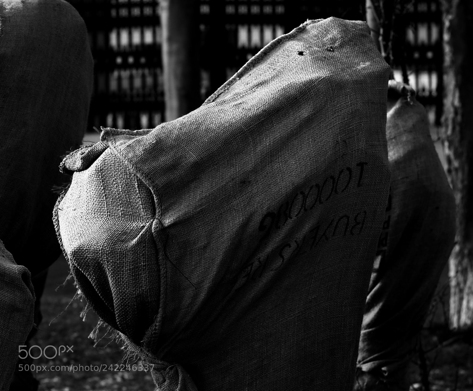 Fujifilm X-T10 sample photo. Army of the faceless photography