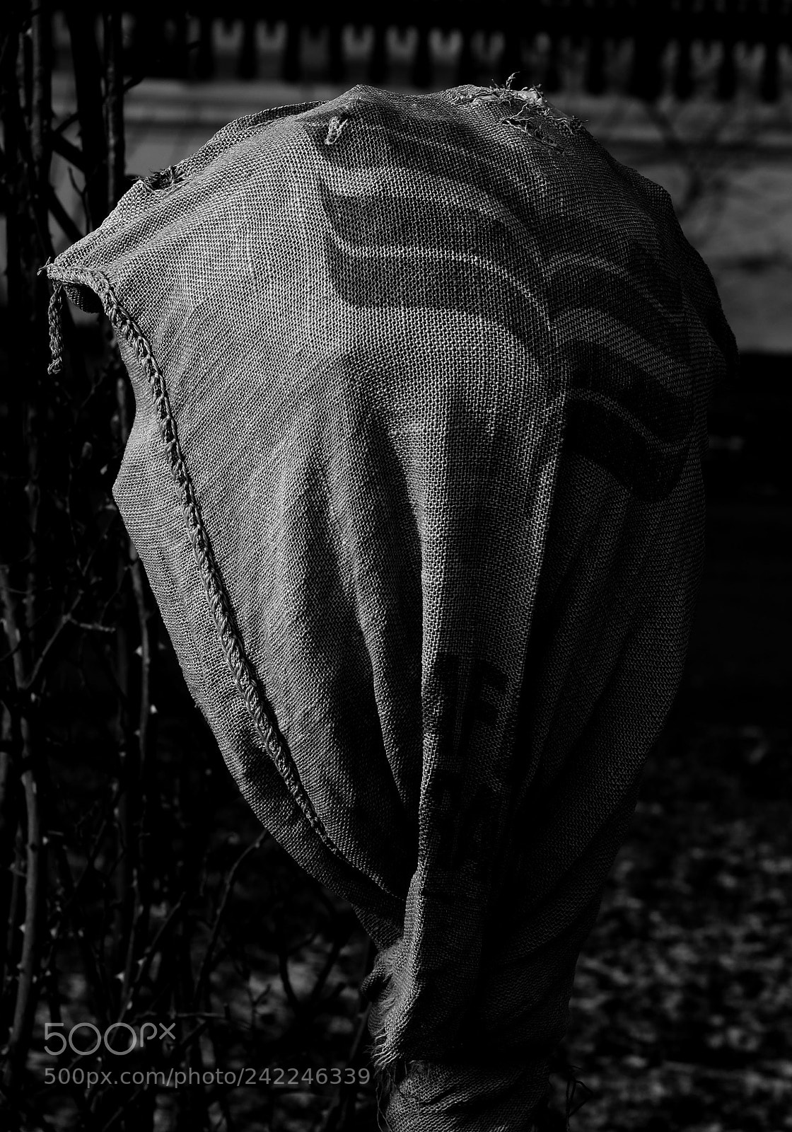 Fujifilm X-T10 sample photo. Army of the faceless photography