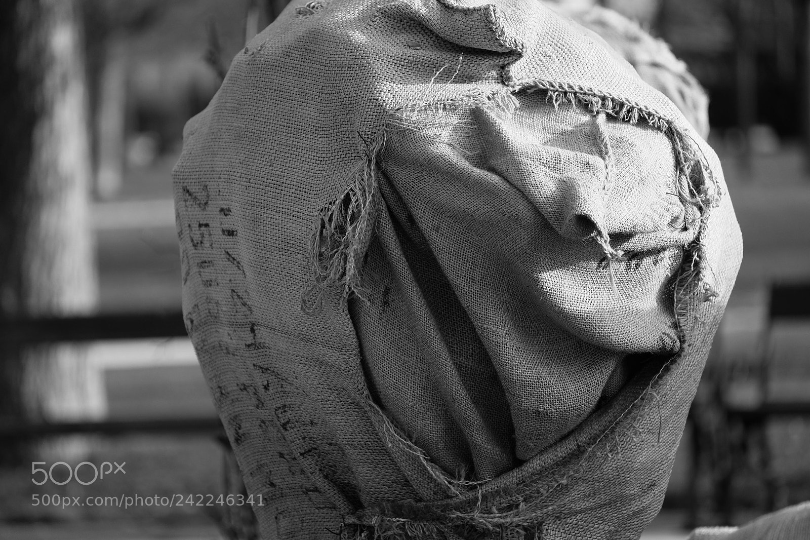 Fujifilm X-T10 sample photo. Army of the faceless photography