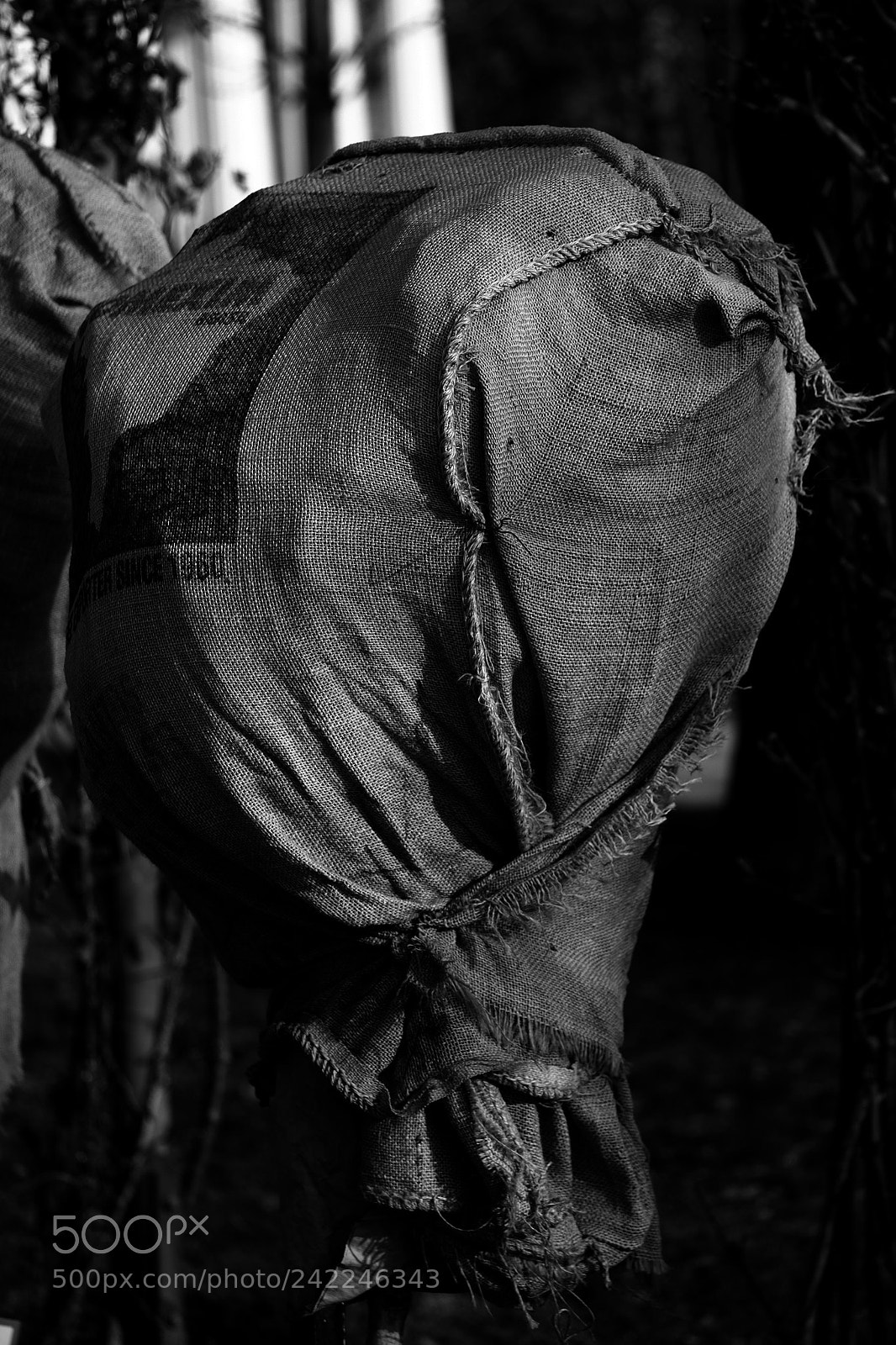 Fujifilm X-T10 sample photo. Army of the faceless photography