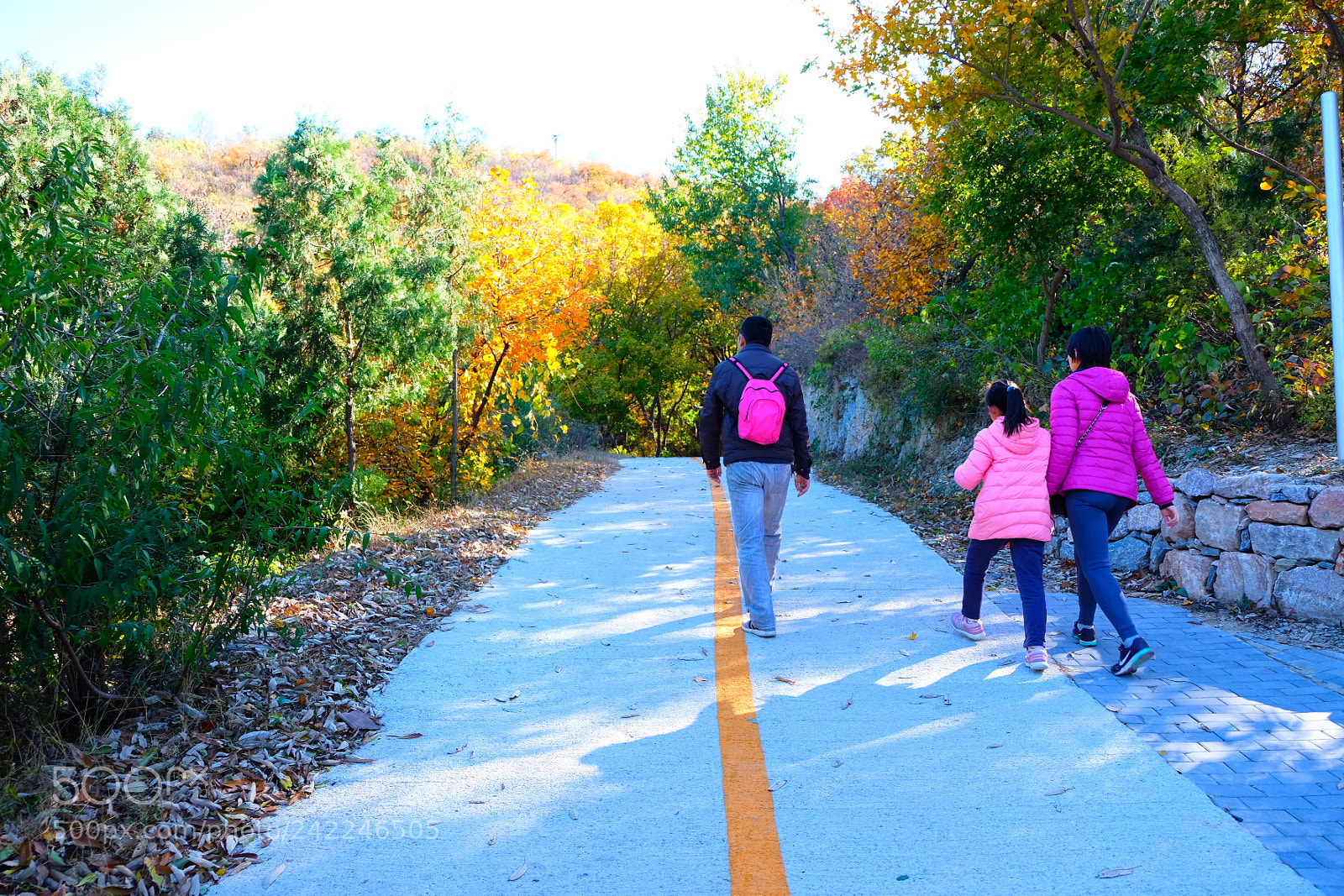 Fujifilm X-T20 sample photo. Pinks photography