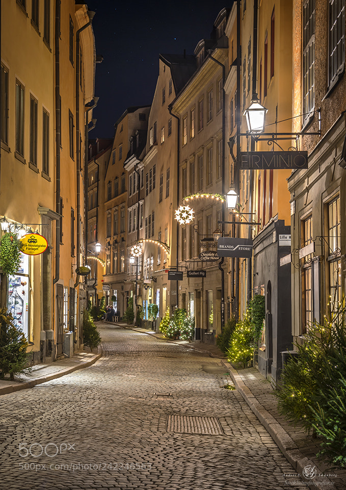 Nikon D800 sample photo. Christmas feelings at old photography