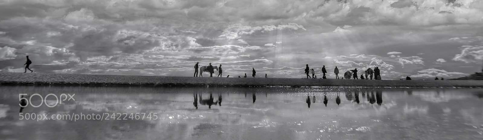 Fujifilm X-T20 sample photo. Untitled photography