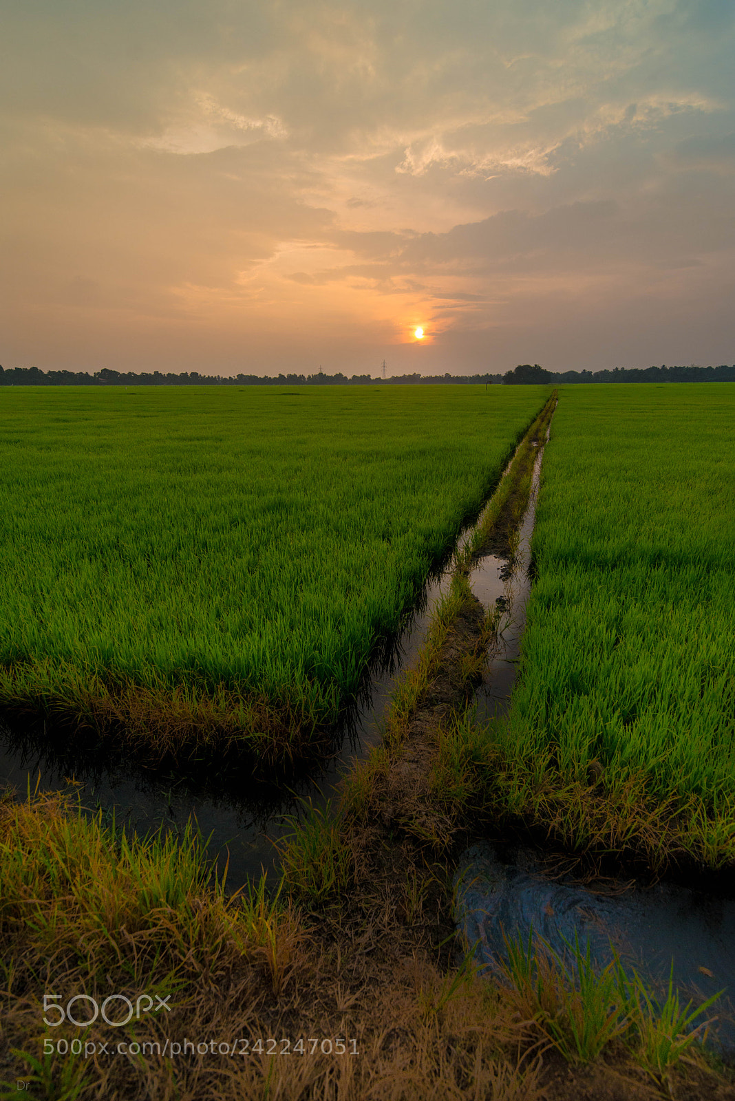 Nikon D800E sample photo. Untitled photography