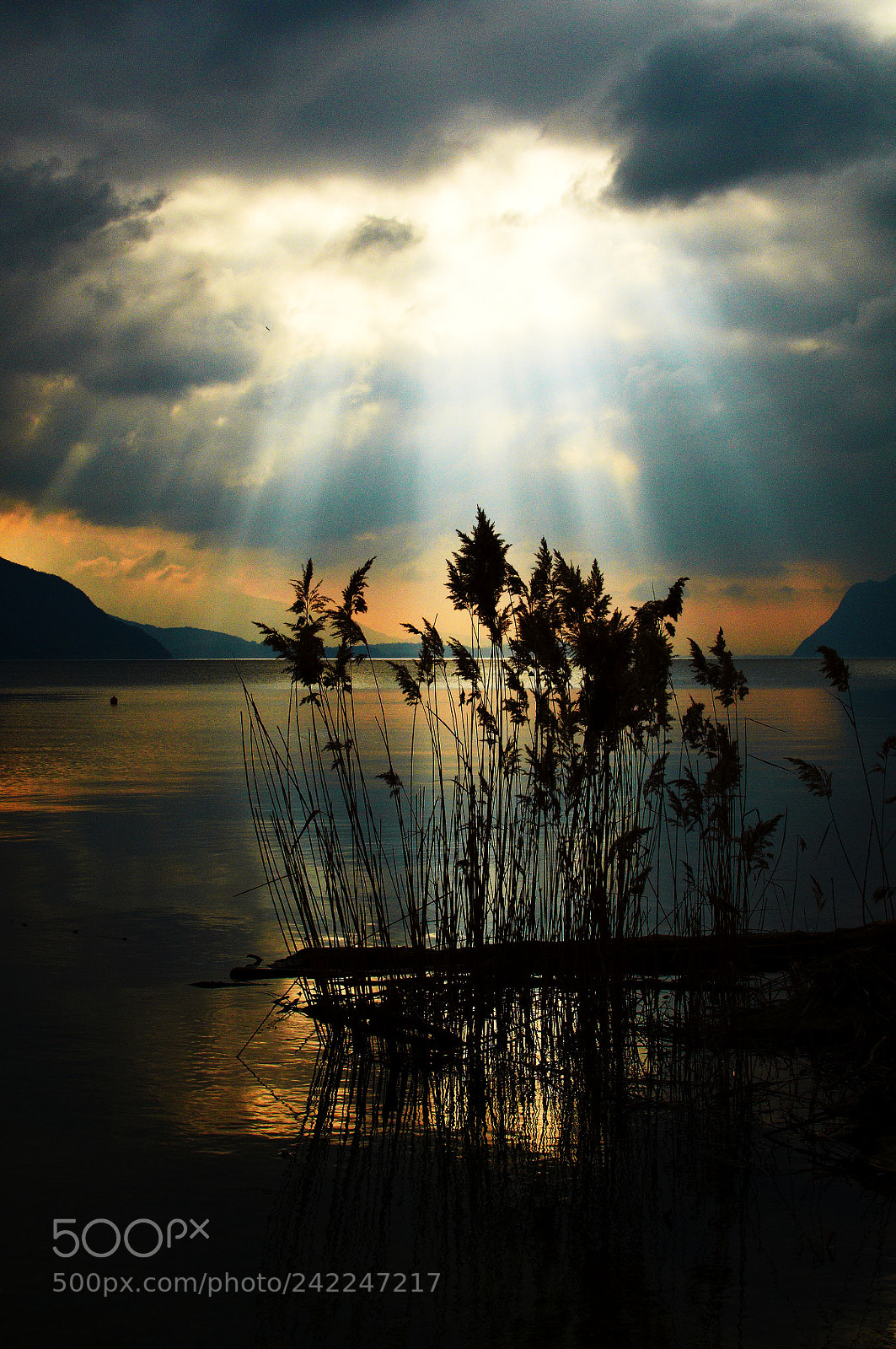 Nikon D300 sample photo. Lac du bourget photography