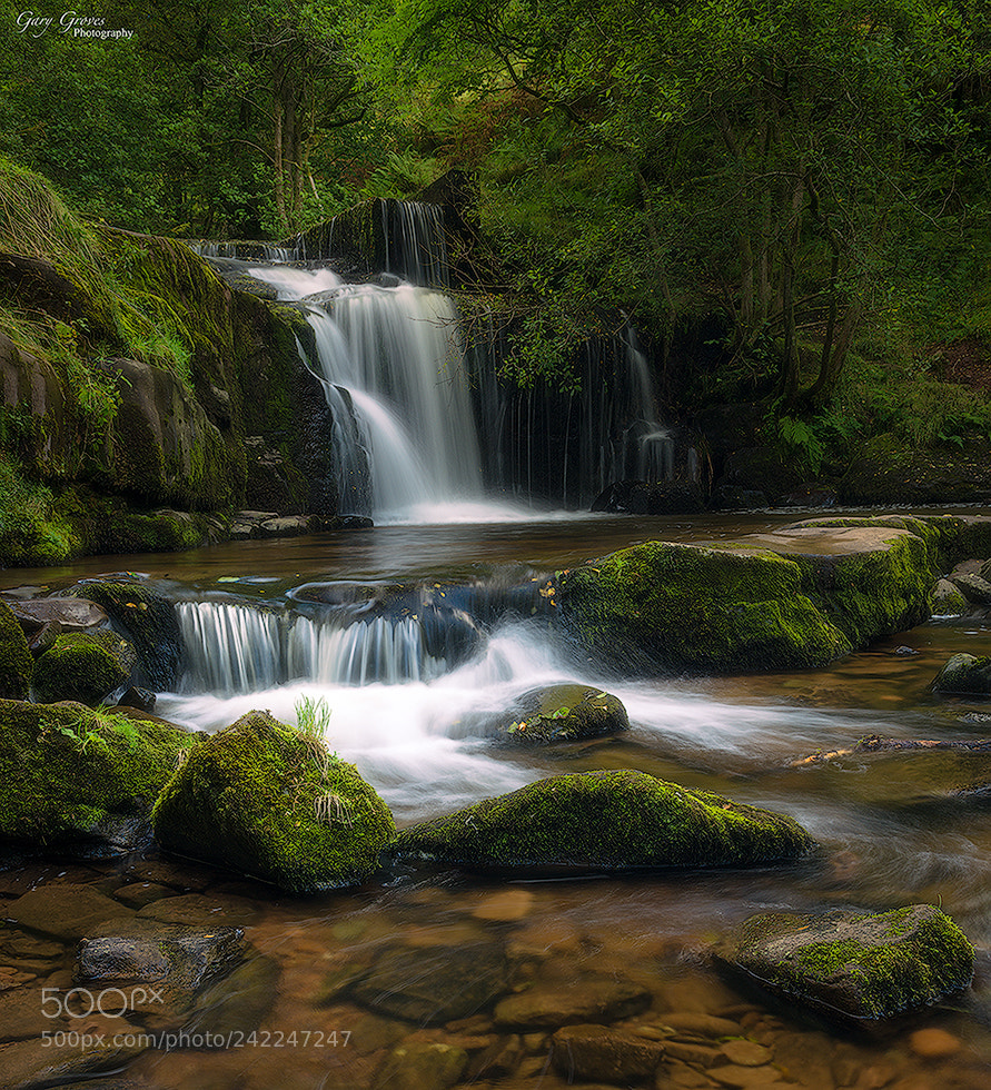 Nikon D800 sample photo. Blaen y glyn photography