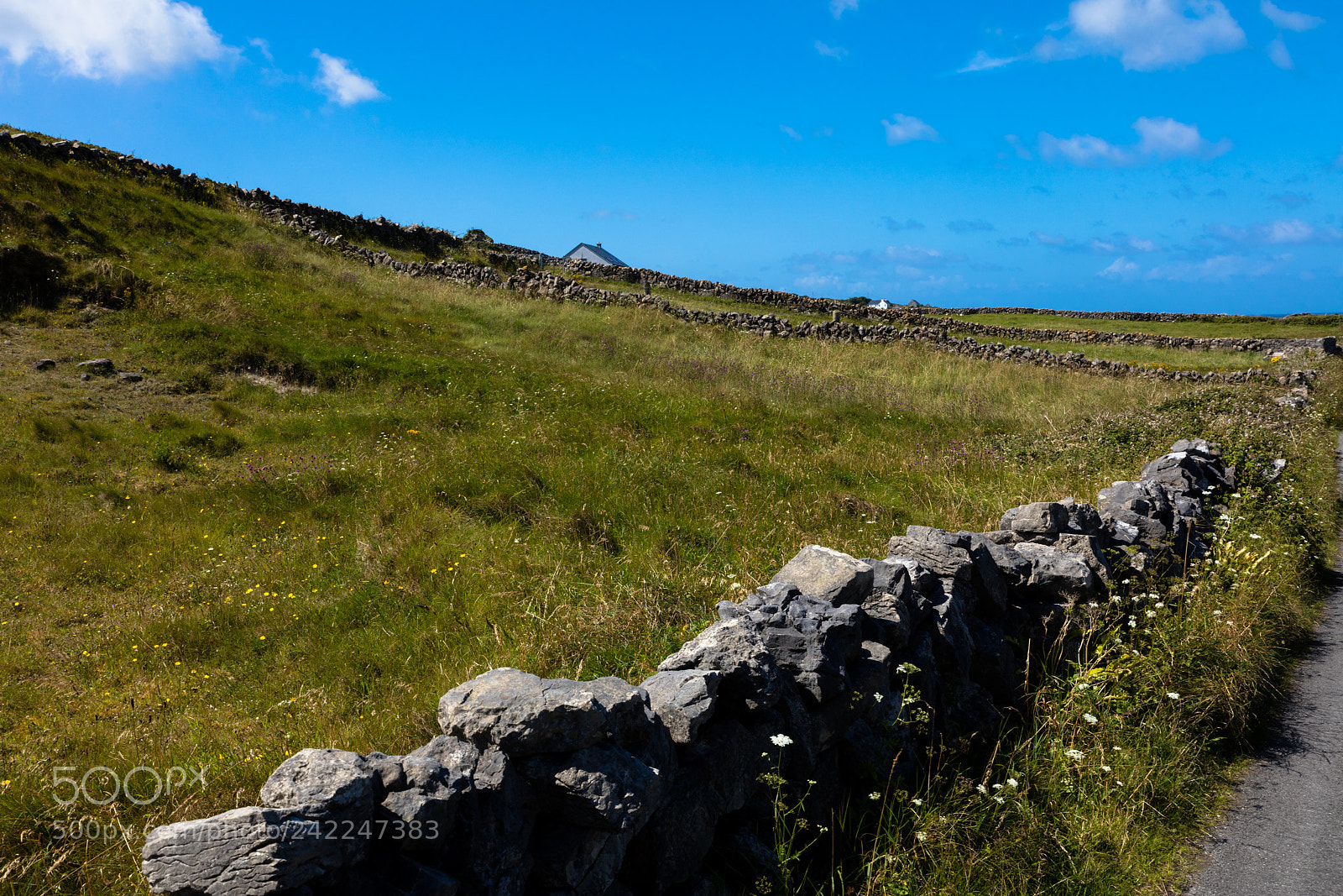 Canon EOS 5DS R sample photo. Landscape of inishmore photography