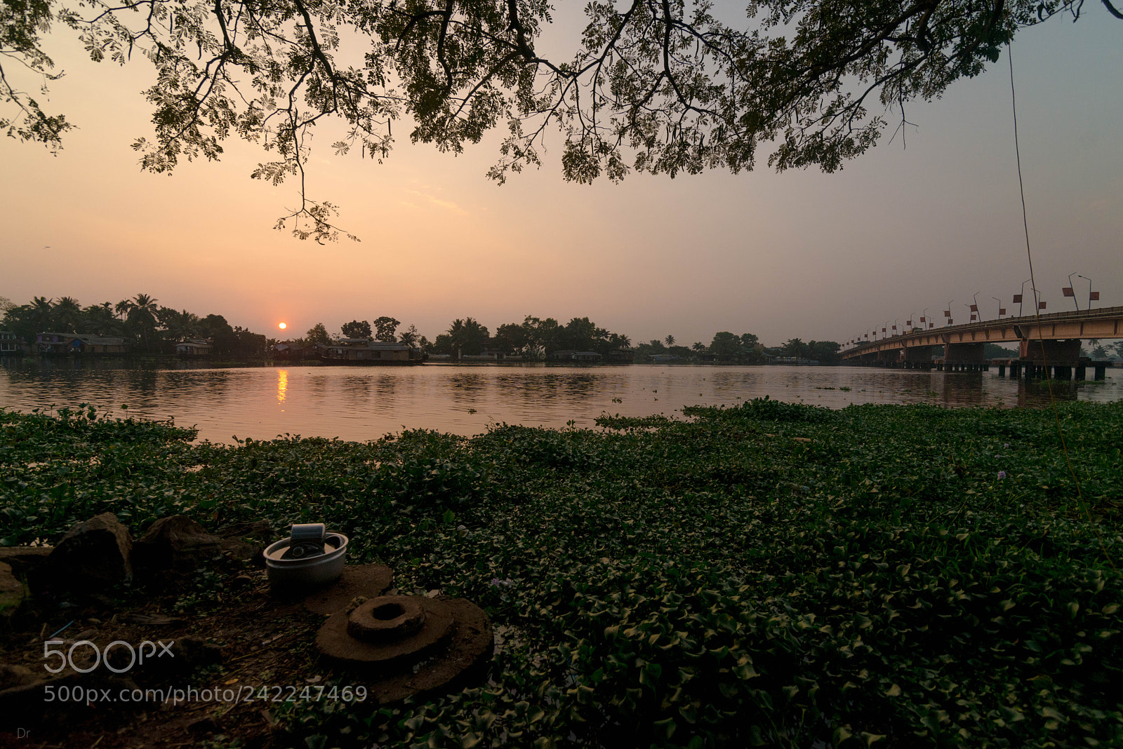 Nikon D800E sample photo. Untitled photography