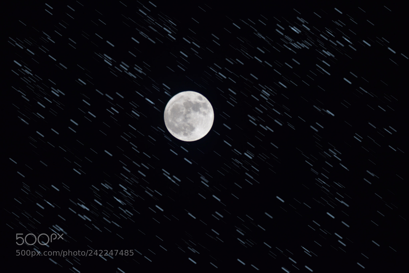 Nikon D5500 sample photo. Moon stars moving photography