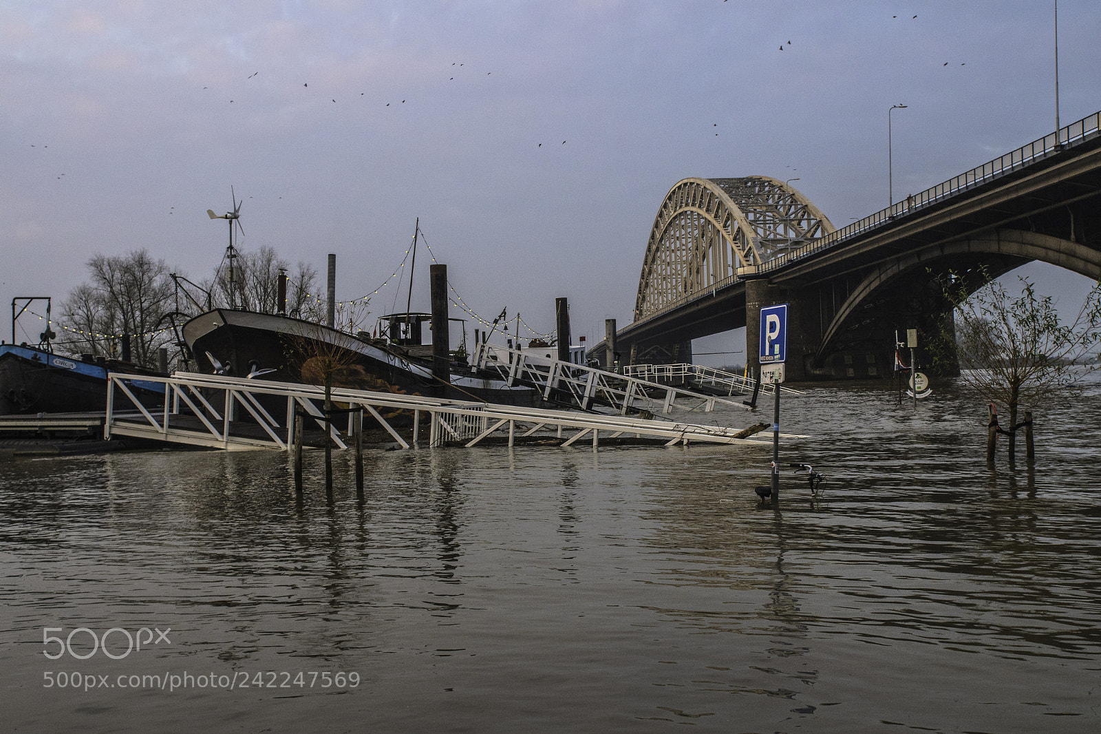 Nikon D500 sample photo. Waalbrug nijmegen photography