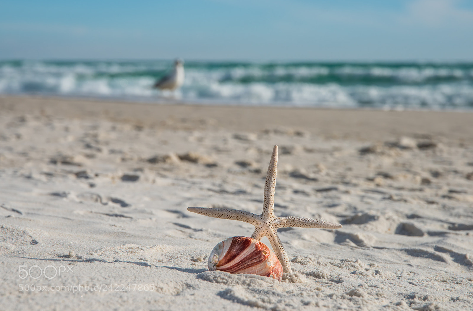 Nikon D810 sample photo. Sand and sea photography
