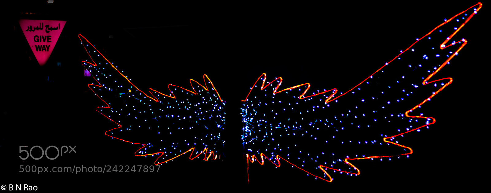 Canon EOS 6D Mark II sample photo. Give way! photography