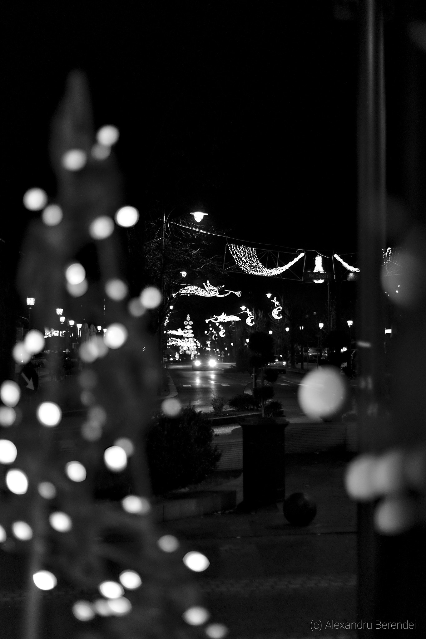 Canon EF 50mm F1.8 II sample photo. Christmas lights photography
