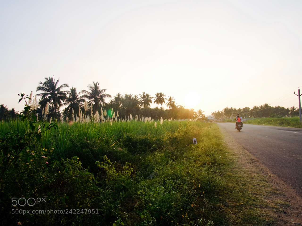 Panasonic Lumix DMC-GX85 (Lumix DMC-GX80 / Lumix DMC-GX7 Mark II) sample photo. Going home photography