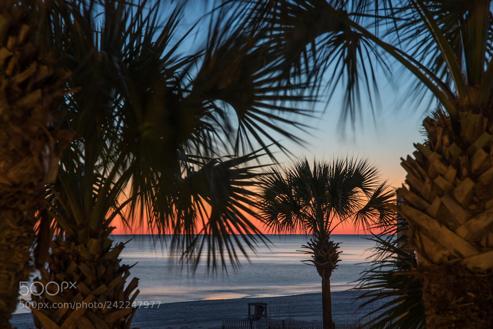 Nikon D810 sample photo. Sunset on the beach photography