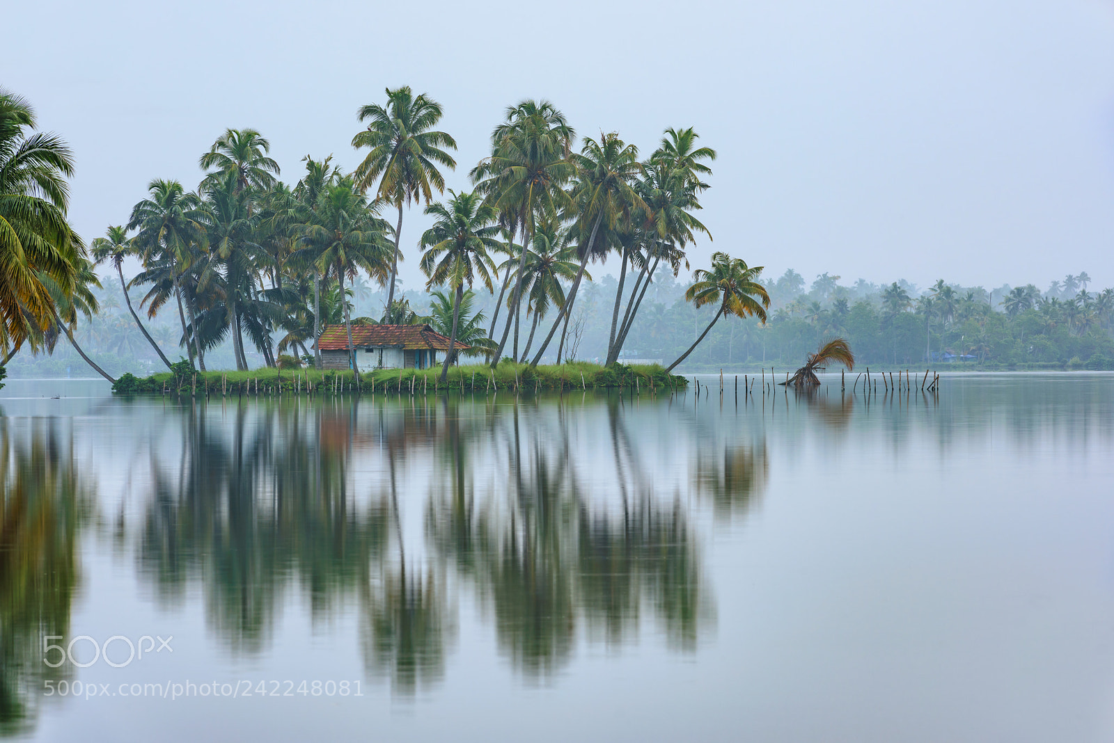 Nikon D810 sample photo. The tranquil small island photography