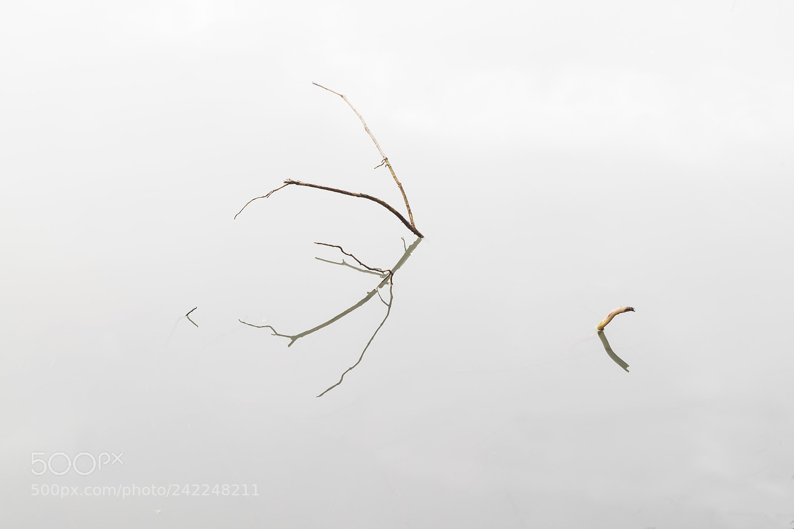 Fujifilm X-T1 sample photo. White stillness photography