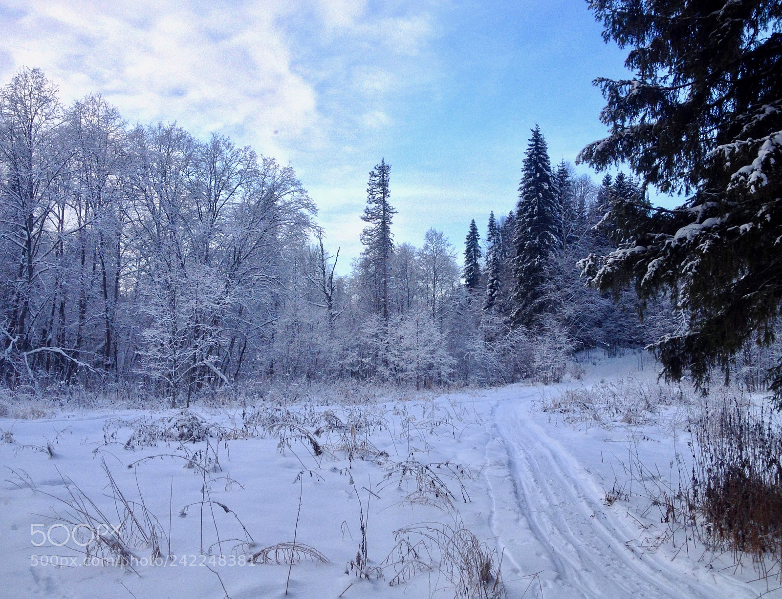 Apple iPhone 4S sample photo. The winter ski path photography