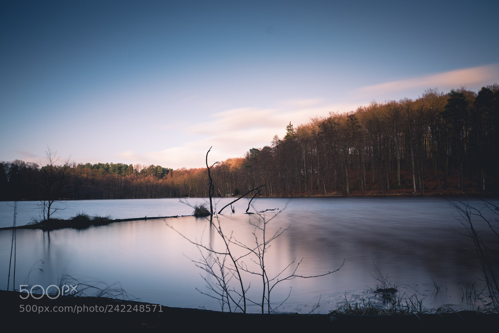 Sony ILCA-77M2 sample photo. Mühlensee/schlaubetal photography