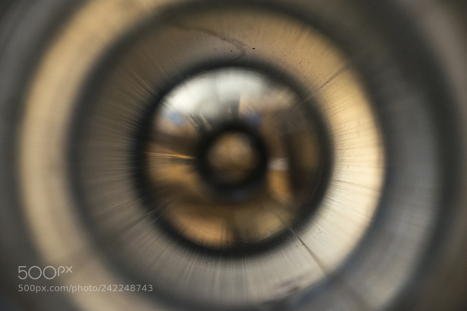 Nikon D7100 sample photo. Golden eye photography