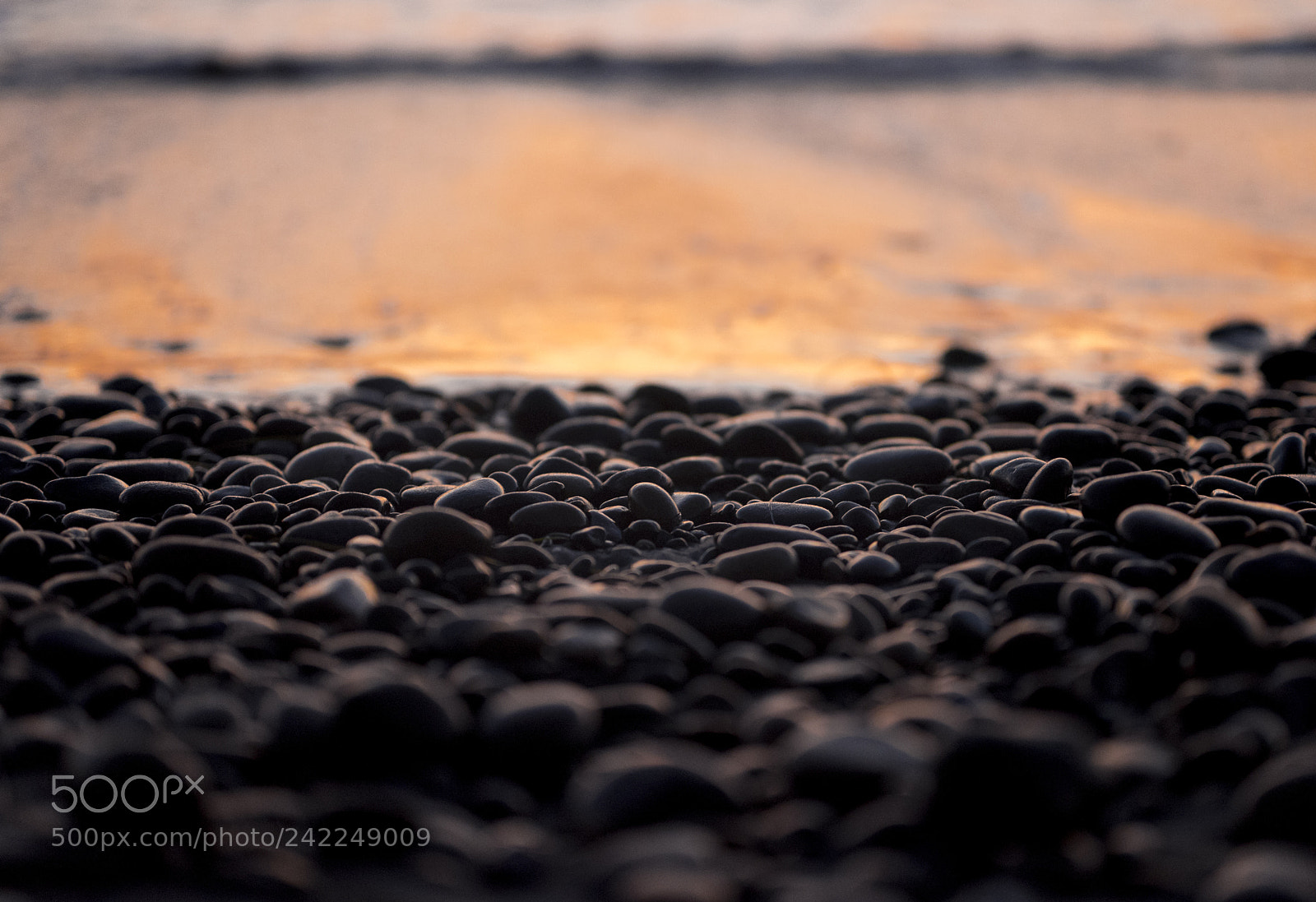 Nikon D810 sample photo. All the depth photography