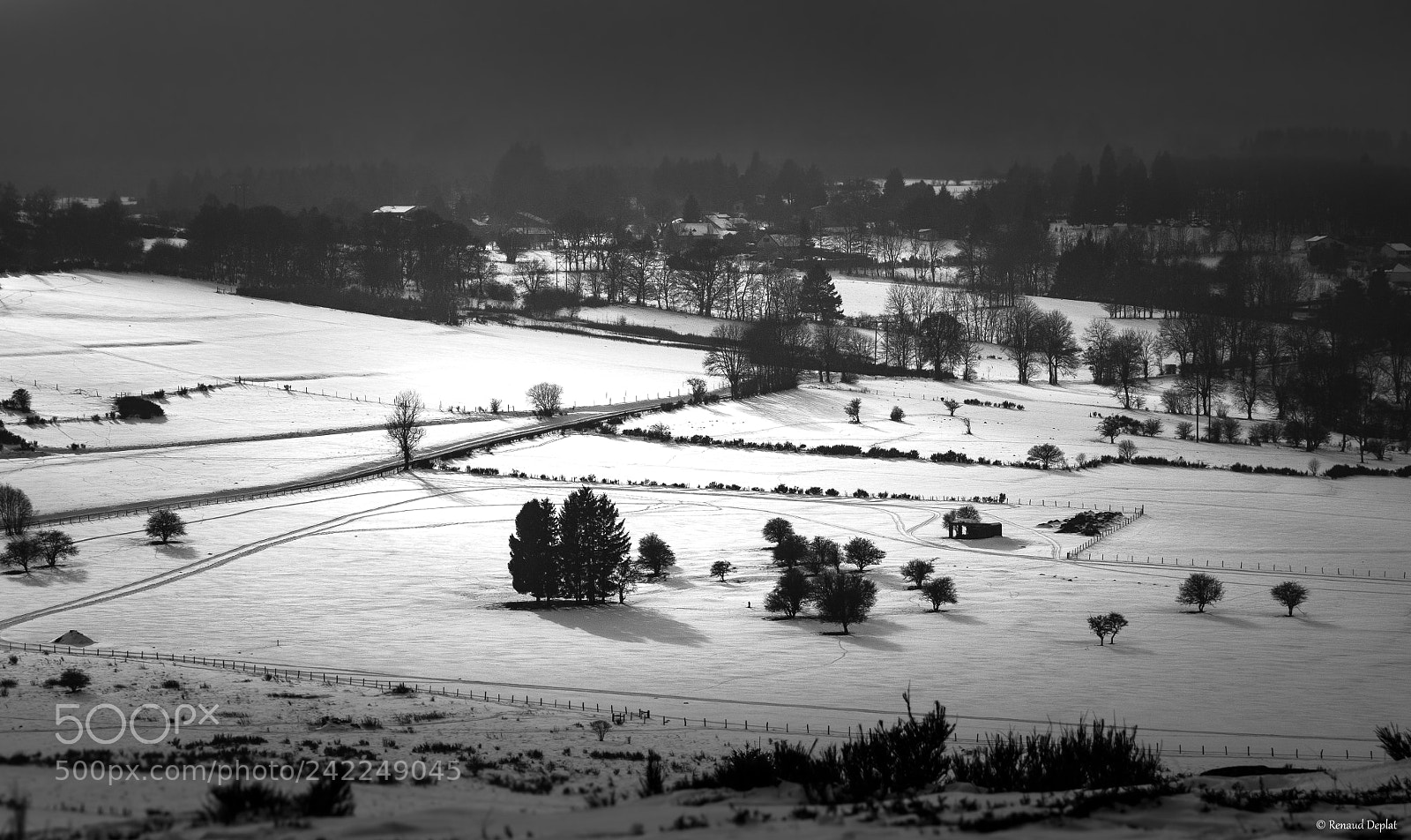 Nikon D500 sample photo. Plaine... photography