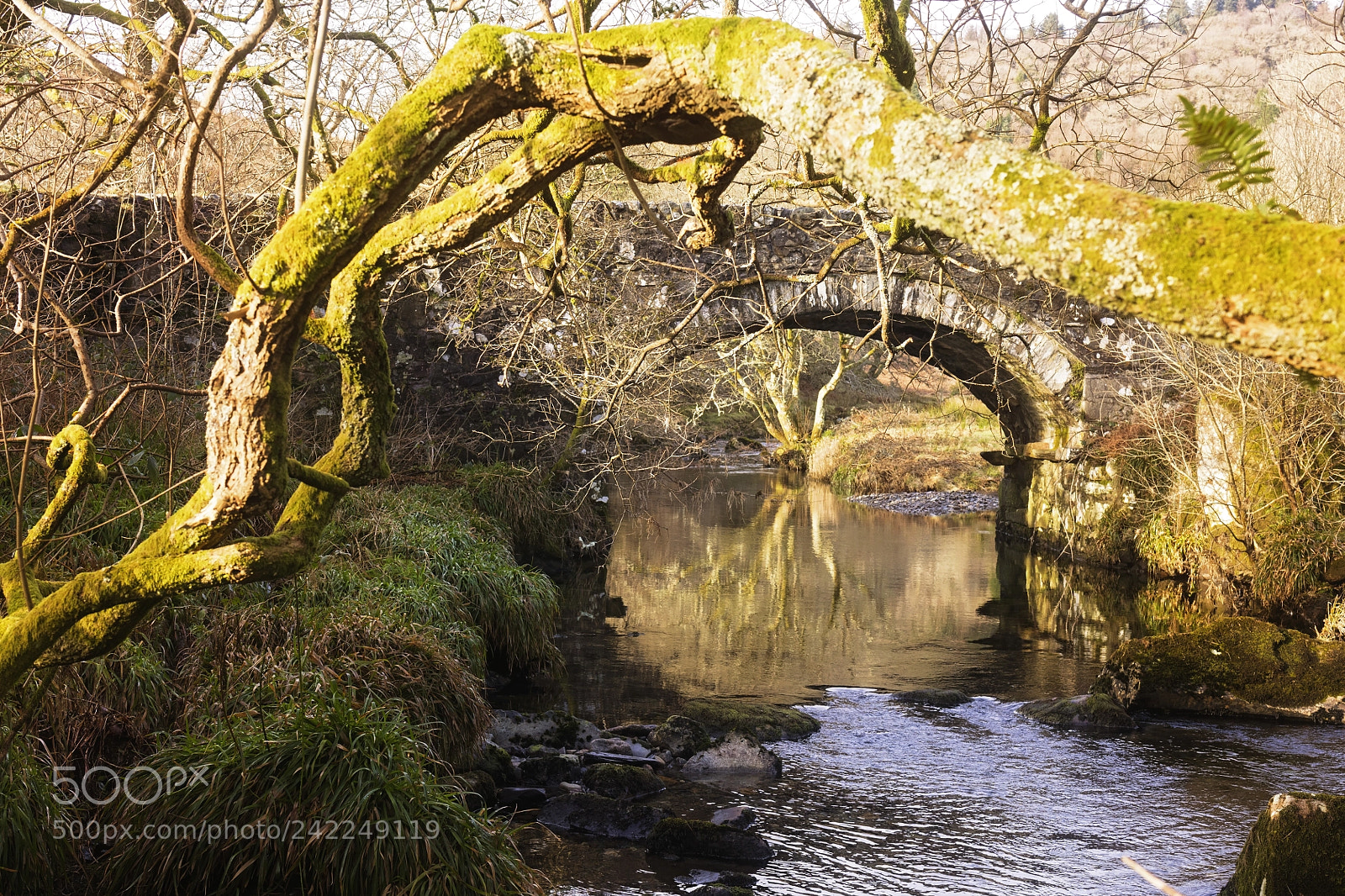 Canon EOS 5DS sample photo. Cwn pennant photography