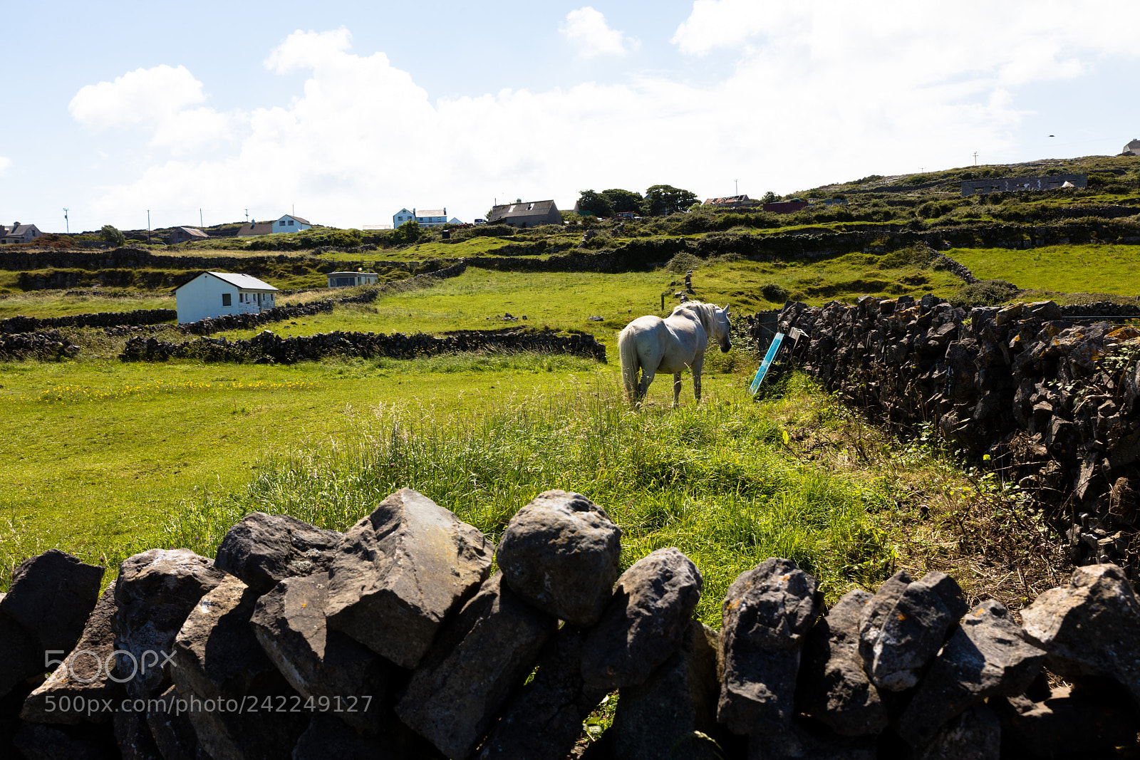 Canon EOS 5DS R sample photo. Landscape of inishmore photography