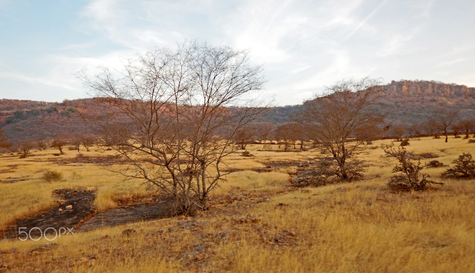 Nikon Coolpix AW130 sample photo. Winter landscape of ranthambore photography