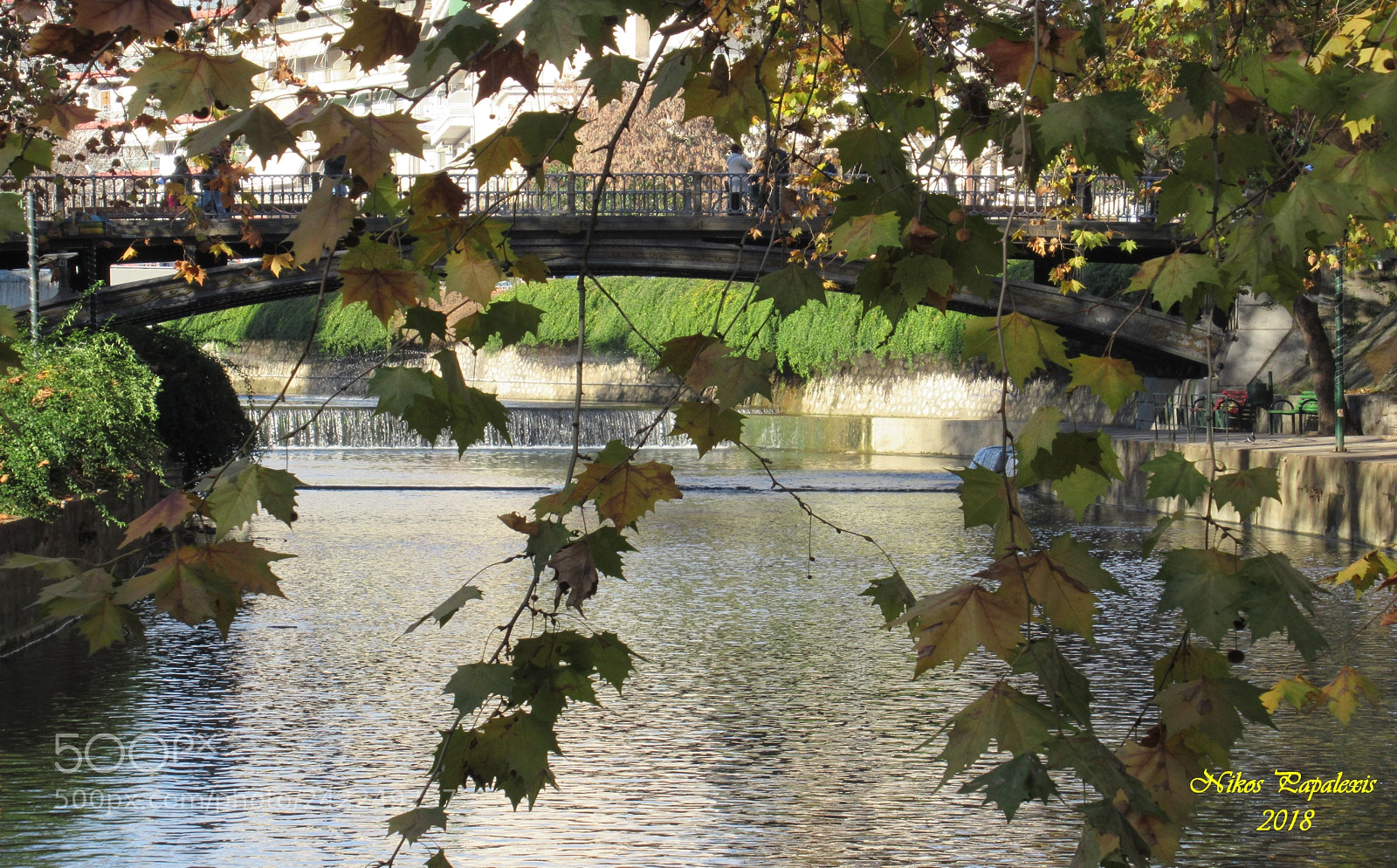 Canon PowerShot SX620 HS sample photo. Leaves over the river! photography