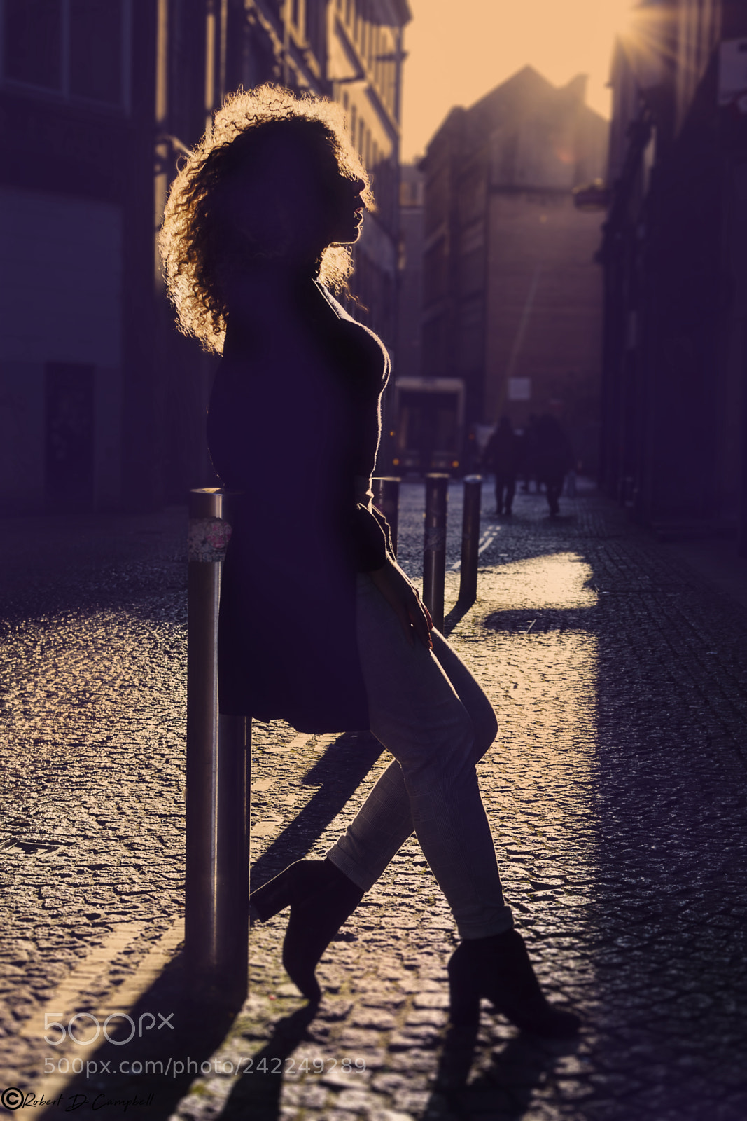 Canon EOS 50D sample photo. Ziggy a sillhouette photography