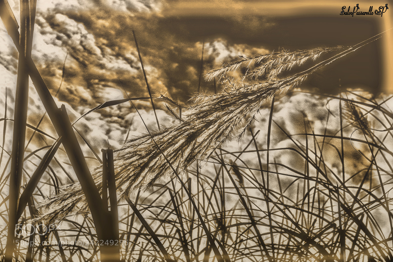Fujifilm FinePix SL1000 sample photo. Clouds as artwork photography