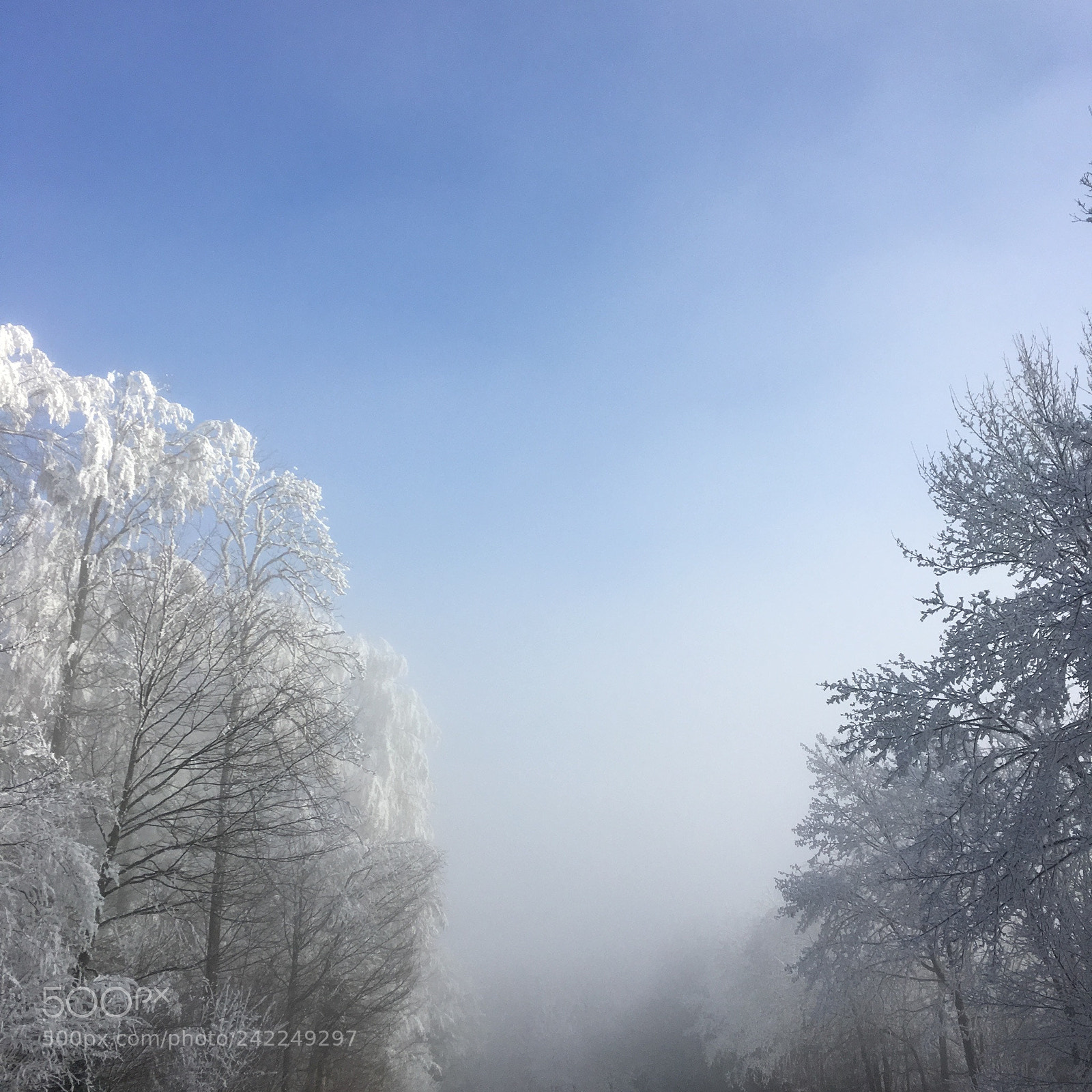 Apple iPhone 6s sample photo. Freezing air in january photography