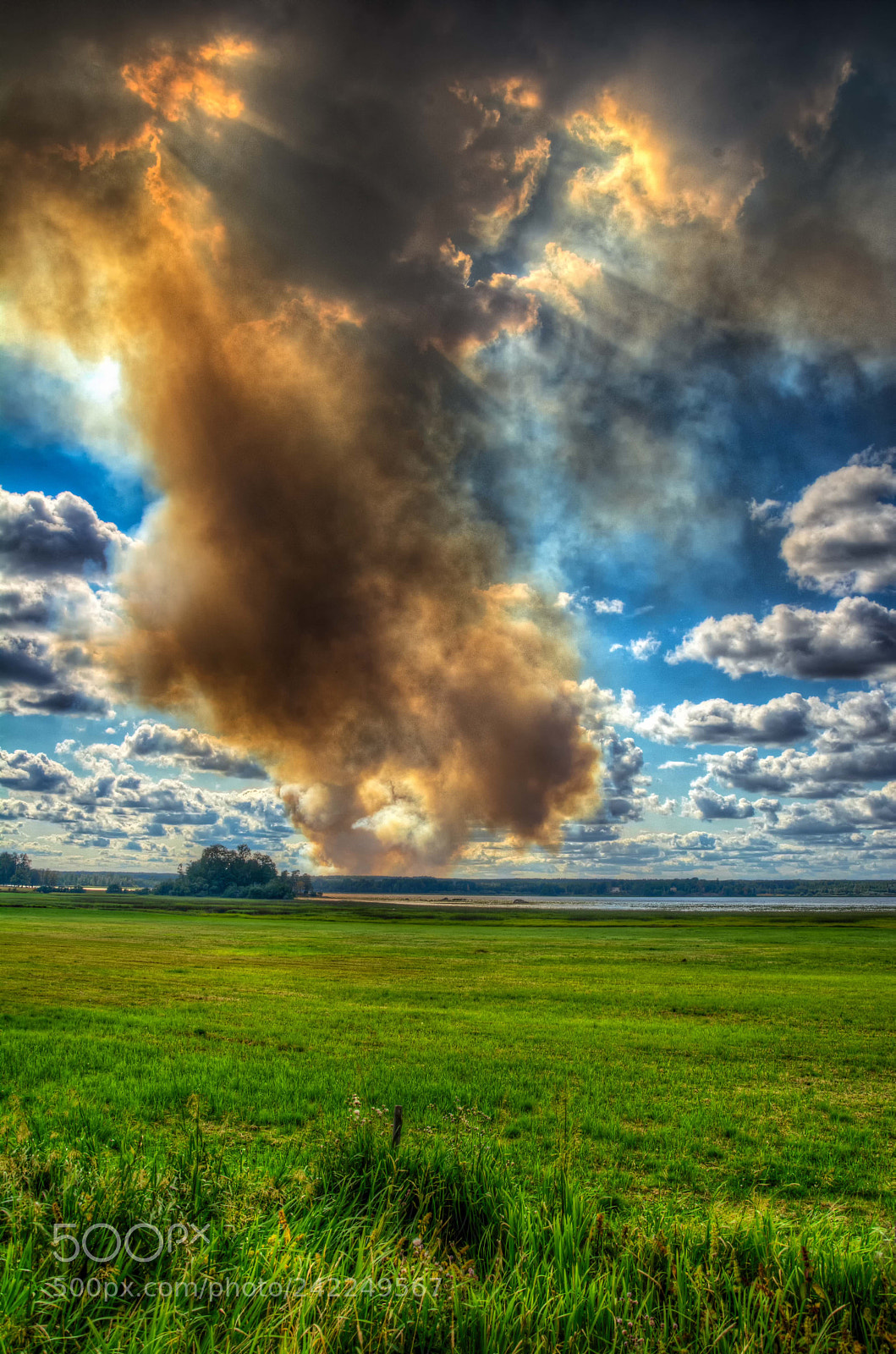 Nikon D7100 sample photo. Wildfire photography