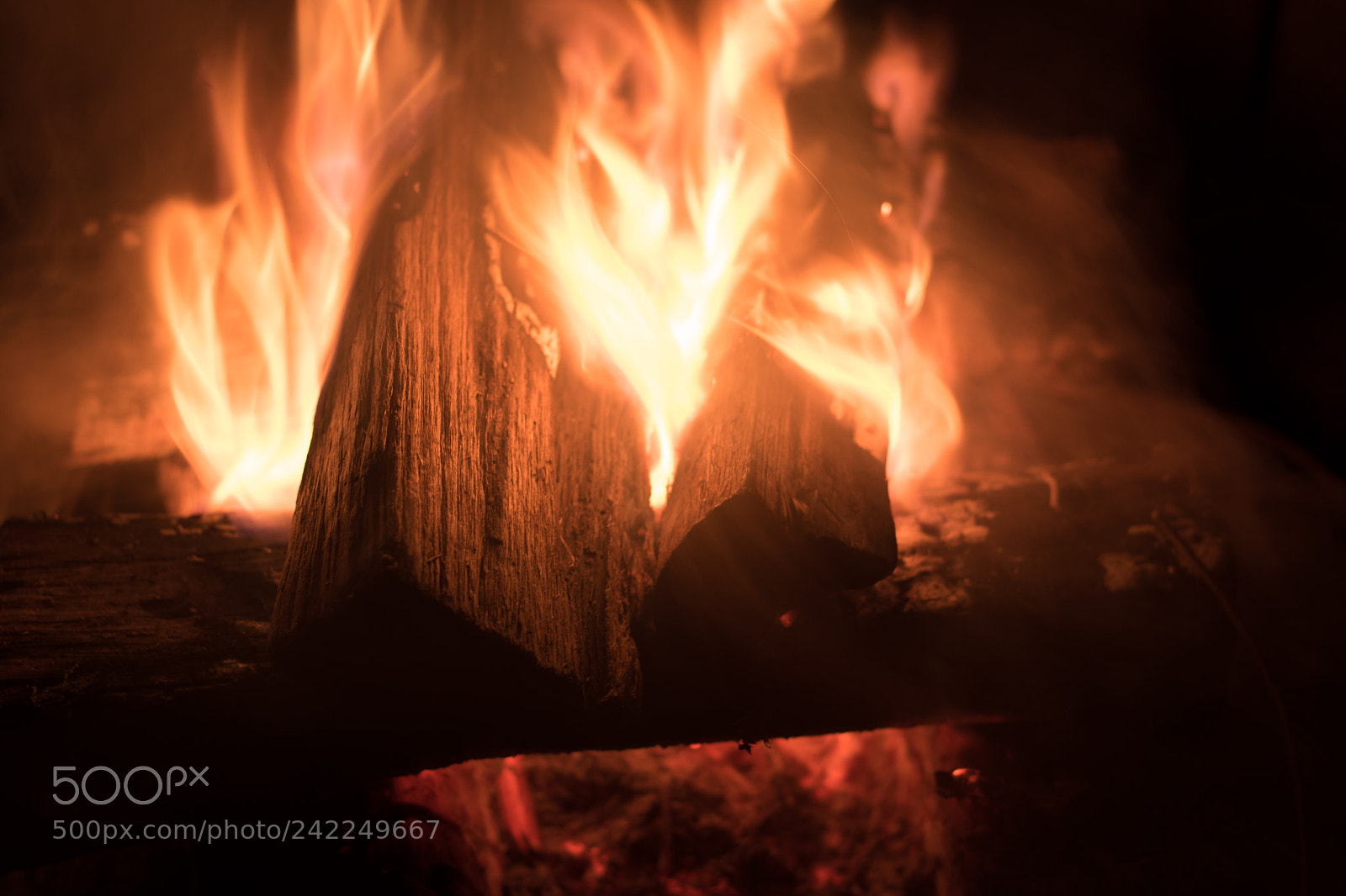 Nikon D5600 sample photo. Campfire photography