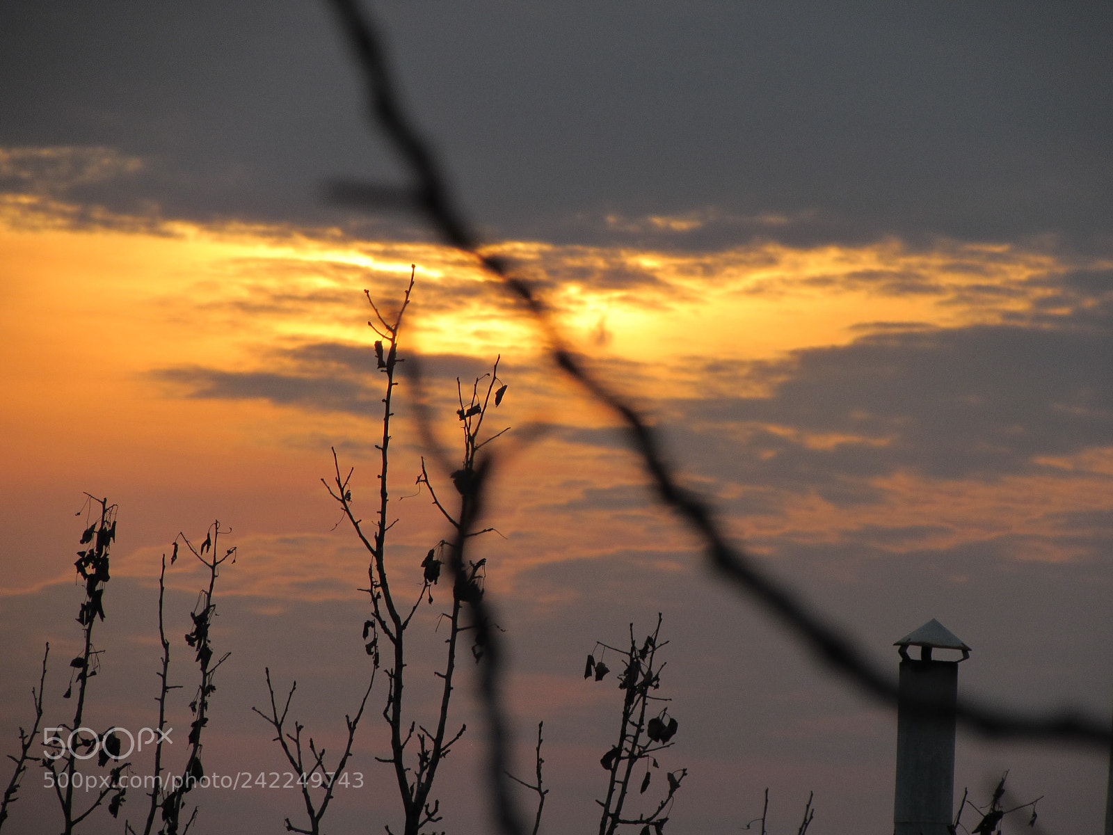 Canon PowerShot SX510 HS sample photo. Img photography