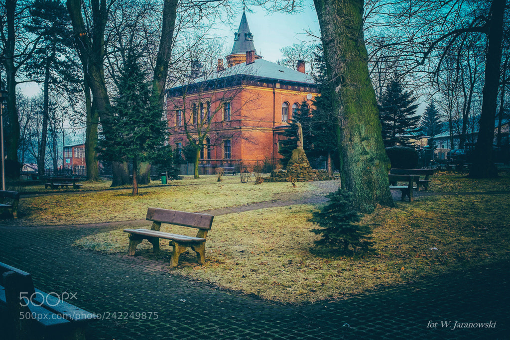 Fujifilm X100T sample photo. Small castle. g uszyca photography
